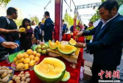 吃瓜爆料柳州视频大全最新